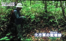 二股口塹壕跡
